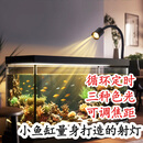 燕之雁 南美缸射灯 循环定时 三色变光 可调焦  鱼缸雨林缸照明水草灯3w