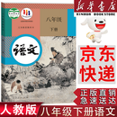 【新华书店正版】2025新版人教版初中八年级下册语文书人教版部编版课本教材教科书 初中初二2下册语文书人教 8年级下册语文书课本教材教科书 人民教育出版社 八年级下册语文课本 八年级下册语文课本