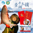 【礼券】查干湖冬捕有机胖头鱼礼券399型 6-7斤1条 年货礼盒春节年夜饭大礼包