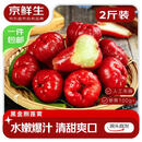 京鲜生 黑金刚莲雾 净重2斤装7-10个 单果100g+生鲜水果源头直发包邮