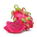 越南红心火龙果2粒约700g