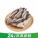 【24小时菜】头茬平菇300g