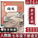 【新华书店正版】2025新版  新改版 人教版初中七年级下册语文书课本人教版部编版 初中初一1下学期下册语文书 7年级下册语文书课本教材教科书 人民教育出版社 【新改版】七年级下册语文
