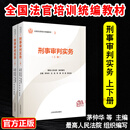 正版2025新书 刑事审判实务 上下册 最高人民法院组织编写 平装版 全国法官培训统编教材 人民法院出版社9787510945885