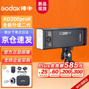 神牛AD200proII二代闪光灯外拍补光灯高速同步TTL频闪便携摄影补光灯户外摄影灯【官方标配】