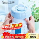 特百惠（Tupperware）净水器滤芯 纳美玲珑牌TPW-C1型家用厨房直饮机滤水配件