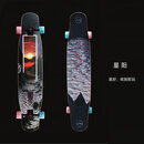 星木长板舞板专业滑板平花DC男女生青少年儿童成人平花初学者 星阳-整板组装好