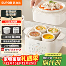 苏泊尔（SUPOR）电炖盅电炖锅隔水炖家用全自动煲汤炖汤锅陶瓷燕窝炖盅4.5L蒸炖一体多功能锅3-4人 DZ25FC873