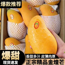 三萌果蔬新鲜芒果 广西当季新鲜青皮大芒果水果现摘整箱 5斤活动装【单果300g+】净重4.5斤*