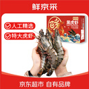 鲜京采 巨型黑虎虾 去冰净重3斤 24-30只/盒 年货送礼 年夜饭