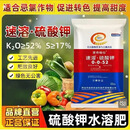 顶级肥料 深蓝色