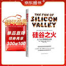 硅谷之火：人与计算机的未来