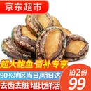 往牧熟冻三去特大鲍鱼 超大10头鲍  生鲜贝类 节日年货节送礼 【堪比鲜活10头鲍】大号净重500g