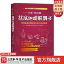 盆底运动解剖书：女性盆底的解剖学认知与运动康复 卡莱热尔曼系列 北京科学技术出版社