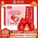 京觅 丹东草莓99红颜奶油水果礼盒生鲜净重2斤装单果20-30g源头直发