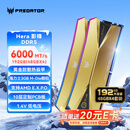 宏碁掠夺者（PREDATOR）192G(48G×4)套装 DDR5 6000频率 台式机内存条 Hera影锋系列 RGB灯条(C28)  OC LAB版 AI电脑配件