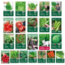 寿禾 蔬菜种子大全春四季香菜生菜西红柿辣椒草莓籽 22种蔬菜种子大全