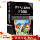 奈特人体解剖学彩色图谱 第八版 第8版 人民卫生出版社旗舰店翻译新版临床医学外科学教材书局部系统解刨学书籍19全身正常医学实用动态局解全彩图谱2023