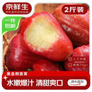 京鲜生 黑金刚莲雾 净重2斤装9-12个 单果70g+生鲜水果源头直发包邮