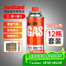 岩谷（Iwatani）户外 便携卡式炉气罐燃气瓶 喷枪丁烷气瓦斯罐装气体 原装250g*12