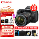 佳能（Canon）EOS 6D Mark II 6D2 单反相机 全画幅专业照相机 EF 24-105mm F4 IS II USM套机 旅行畅玩套装