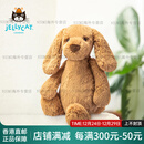 Jellycat英国害羞太妃糖狗狗儿童毛绒玩具可爱狗狗公仔玩具 太妃糖色 18cm
