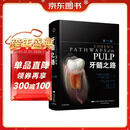 牙髓之路（第11版）全彩精装 口腔医学收藏级图书 辽宁科技