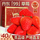 静羽丹东草莓99红颜奶油水果【顺丰/JD空运-多地次日达】新鲜年货礼盒 2斤精选大果 单果20-30g