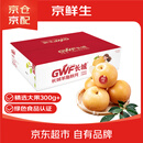 京鲜生 长城羊脂秋月梨 正宗大果 净重5斤 6-8粒 生鲜水果礼盒