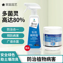 兰景天80%多菌灵杀菌剂药剂腐烂叶斑病花卉植物种植绿植家用防治病害50g
