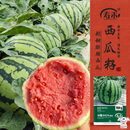 寿禾 西瓜种子瓜籽苗早熟特大麒麟超甜皮薄 冰糖8424西瓜种子120粒