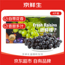 京鲜生 智利玫瑰香Sable无籽黑提4斤水果礼盒 新鲜水果   葡萄提子