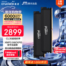 英睿达（crucial）32GB（16GB×2）DDR5 6000频率台式机内存 Pro系列超频条 美光（原镁光）原厂颗粒  CL36黑色