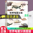 正版包邮 世界龟鳖分类图鉴 梁亮乔轶伦著 收录世界14科95属350种现生龟鳖物种对大部分物种外部形态进行详细描述并配有大量图片