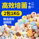 派乐特 鱼缸过滤材料水族火山石陶瓷环细菌球器材用品十二合一滤材1kg