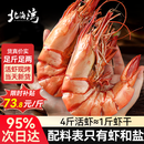 北海湾 九节虾干 特大即食烤虾干大对虾干斑节虾干海产干货风干A2大烤虾 大号九节虾干【约50只】净重500g