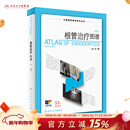 根管治疗图谱第二版2版 彭彬 搭人卫牙科正畸种植基础知识医学儿童修复牙周病学专业人民卫生出版社口腔书籍