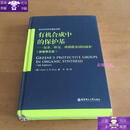 【保证正版】有机合成中的保护基：氨基炔氢磷酸酯基团的保护(原