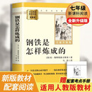 钢铁是怎样炼成的 升级完整版 初中七年级下册必读 适用新版人教教材配套阅读 名师推荐考点精炼 初中七年级下册必读课外阅读书经典文学名著指定读物 无障碍阅读