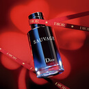 迪奥DIOR旷野男士淡香水60ml木质香调香氛留香礼盒生日礼物 新年礼物