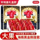 京地达海南黑金刚莲雾礼盒装 净重5斤单果100g+新鲜应季源头直发包邮