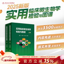 现货 实用临床微生物学检验与图谱 上下册 陈东科病原微生物技术方法病原体流行病学分析病毒细菌真菌寄生虫鉴定药敏试验医院感染监测百科