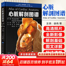 心脏解剖图谱 心脏介入解剖基础第1卷 徐伟 陈样新 樊友启 刘宇 主译 心脏人体解剖学 图谱解剖学9787565934766北京大学医学出版社 新华书店正版医学书籍包邮 图书