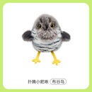 叫叫鸟爆款发声猫玩具自嗨解闷耐咬悬挂式羽毛逗猫棒宠物玩具 布谷鸟【可搭配吊绳玩耍】