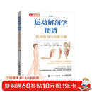 运动解剖学图谱 肌肉结构与功能全解第3版(人邮体育出品)