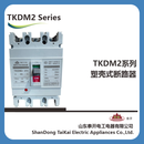 泰开TKDM2-400/4300