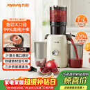 九阳（Joyoung）NFC榨汁机原汁机家用多功能大口径电动全自动冷压榨果汁果蔬机渣汁分离Z11-LZ820