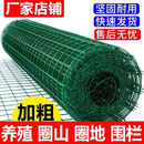 旭杉斯养鸡围栏网防锈铁丝网荷兰网鸡鸭养殖围栏网防护隔离网栅栏网菜园 1.5米高2.9粗6厘米孔30米【送扎带】