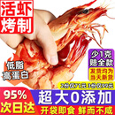 海仙津九节虾干即食大虾干烤虾干对虾干特大斑节虾干大烤虾福建干货虾 【大号款】九节虾干255g 35-45只Plus款(净重)