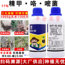 威士伯根腐病专用药精甲咯密嘧菌酯茎基腐病种衣剂杀菌剂亮盾 1000ml*12瓶（整箱）
